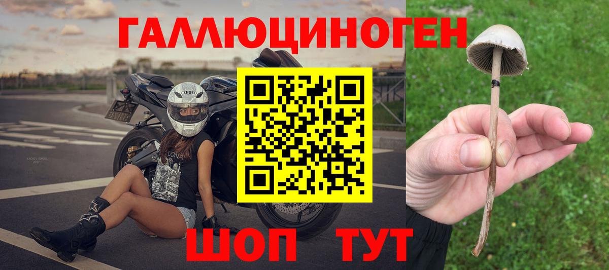 Галлюциногенные грибы мухоморы Всеволожск